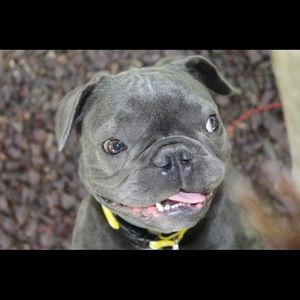 Meet your Posher, Grace